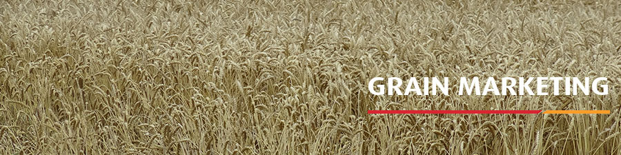 Grain Marketing banner